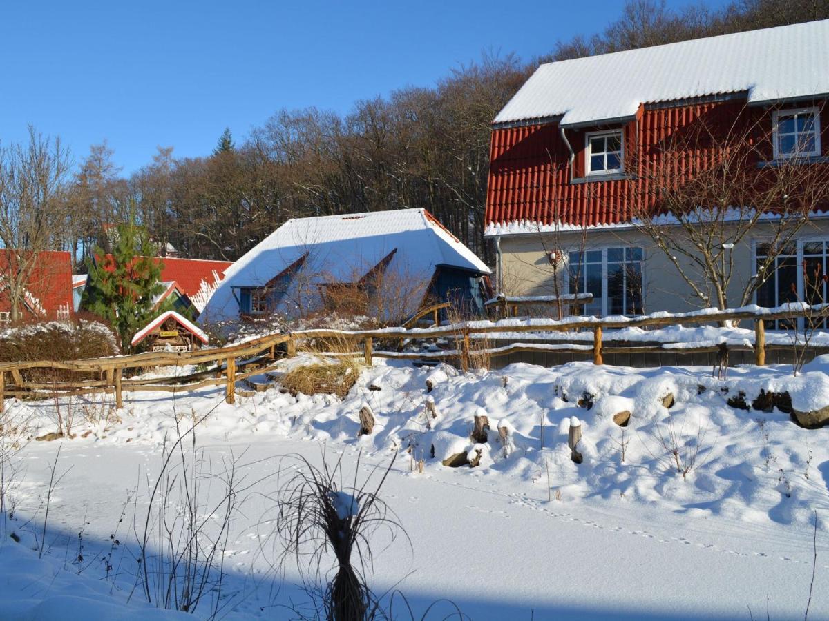 Holiday Home In Wernigerode With A Terrace Kültér fotó