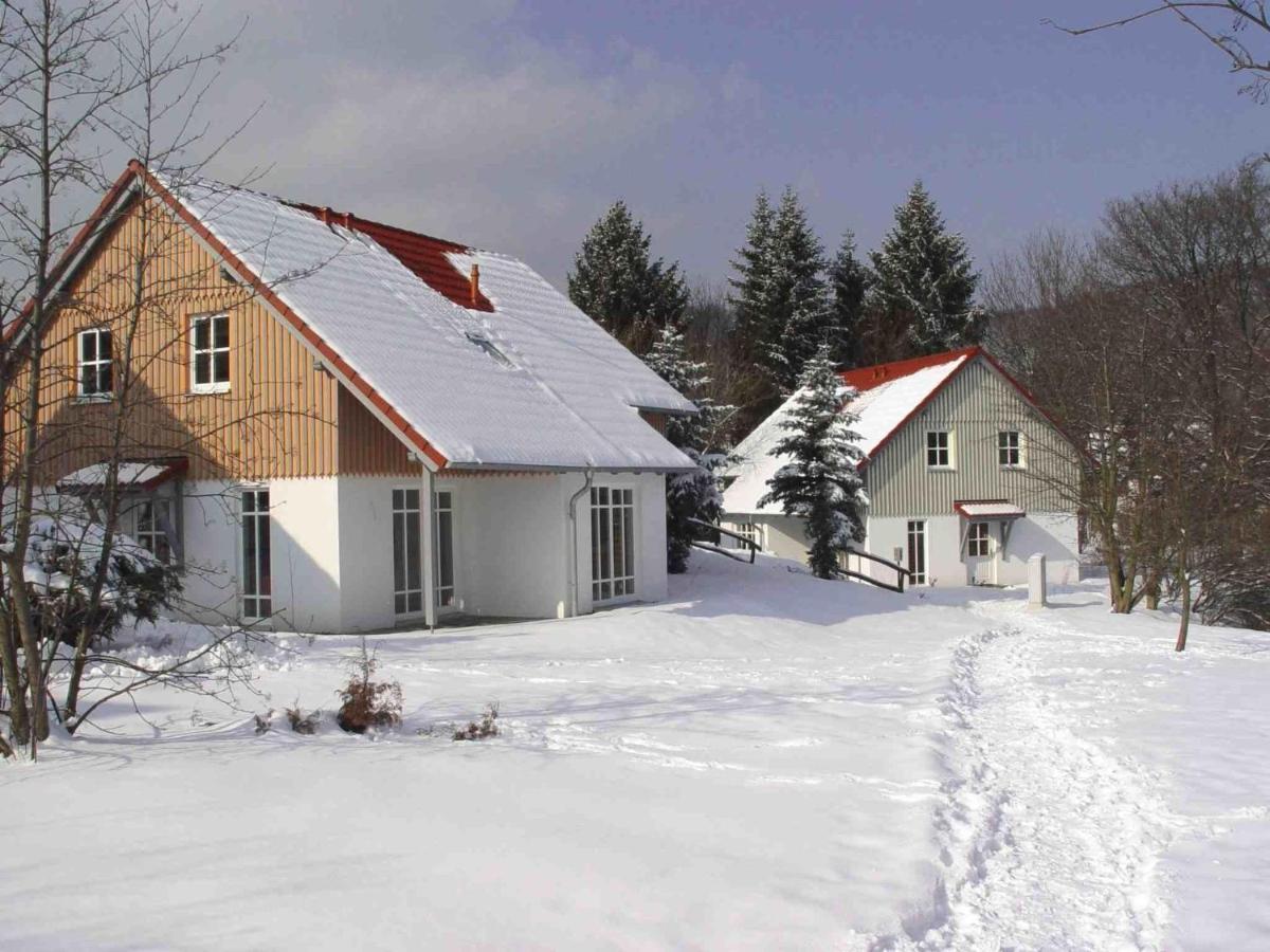 Holiday Home In Wernigerode With A Terrace Kültér fotó